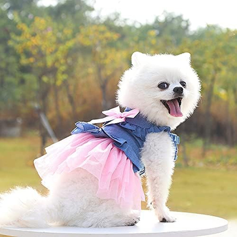 Set of 3 Dog Clothes for Small Dogs, Puppy Dress for Girl Dogs, Autum Cute Female Pet Skirt Clothes Outfit Pink Yorkie Sundress Costume Cat Clothing for Small Doggie Breed (Small)